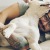 We welcome your pet family