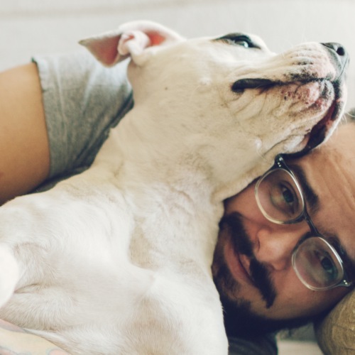 We welcome your pet family